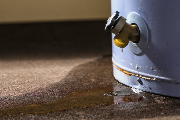 Best Water damage contractors near me  in Sharon, MS