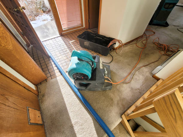 Best Water damage restoration near me  in Sharon, MS