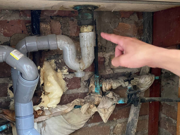 Best Sewage cleanup and water damage restoration  in Sharon, MS