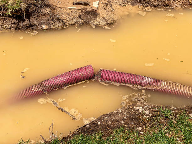 Best Water damage restoration services  in Sharon, MS